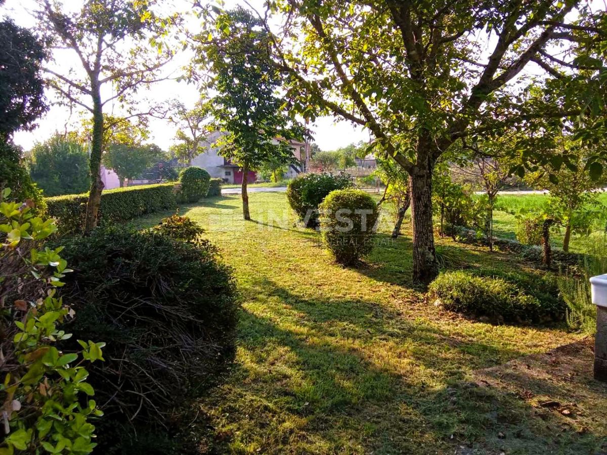 Pazin, Casa in natura con terreno edificabile