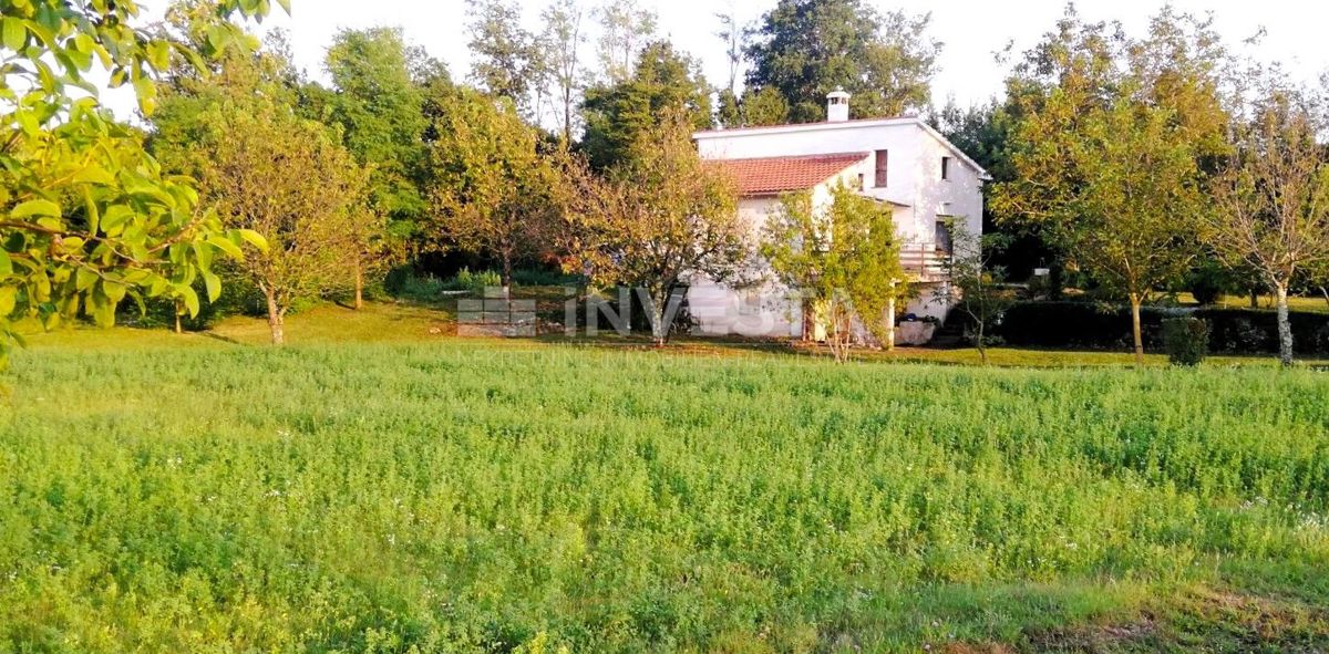Pazin, Casa in natura con terreno edificabile