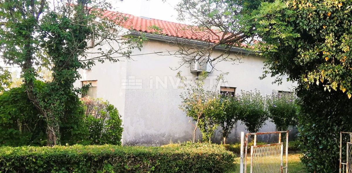 Pazin, Casa in natura con terreno edificabile