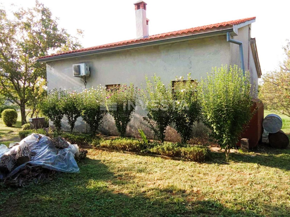Pazin, Casa in natura con terreno edificabile