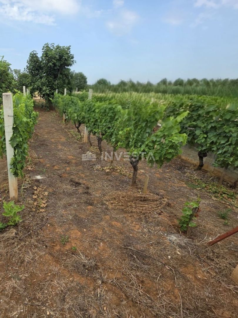 Fažana, Terreno edificabile con casa incompiuta, a 1,5 km dalla spiaggia