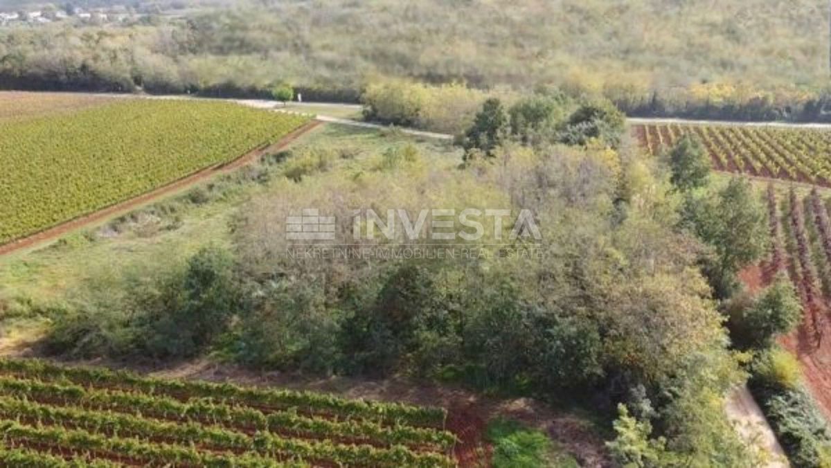 Terreno agricolo vicino alla strada