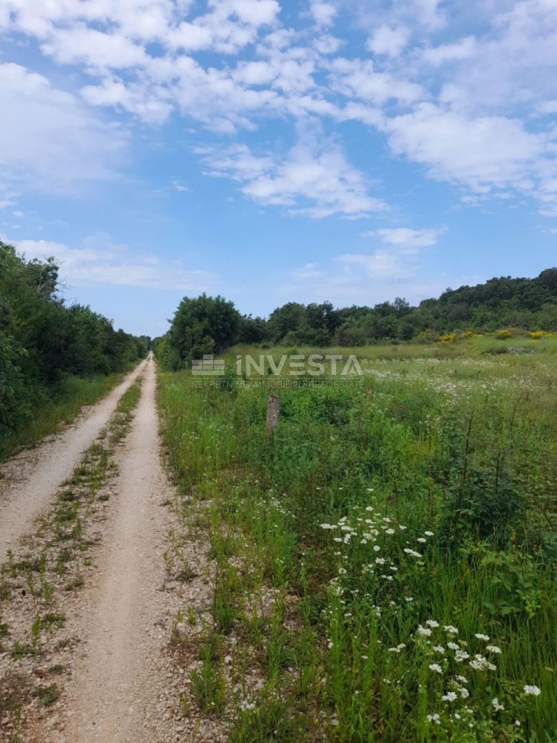 Rovigno, terreno agricolo di 21.206 m² con deposito registrato di 14 m²