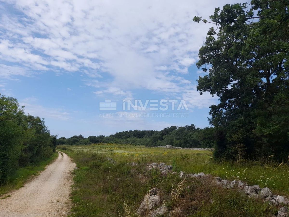 Rovigno, terreno agricolo di 21.206 m² con deposito registrato di 14 m²