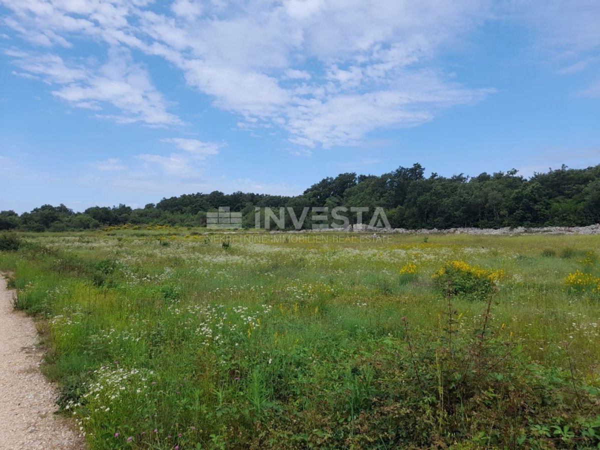 Rovigno, terreno agricolo di 21.206 m² con deposito registrato di 14 m²