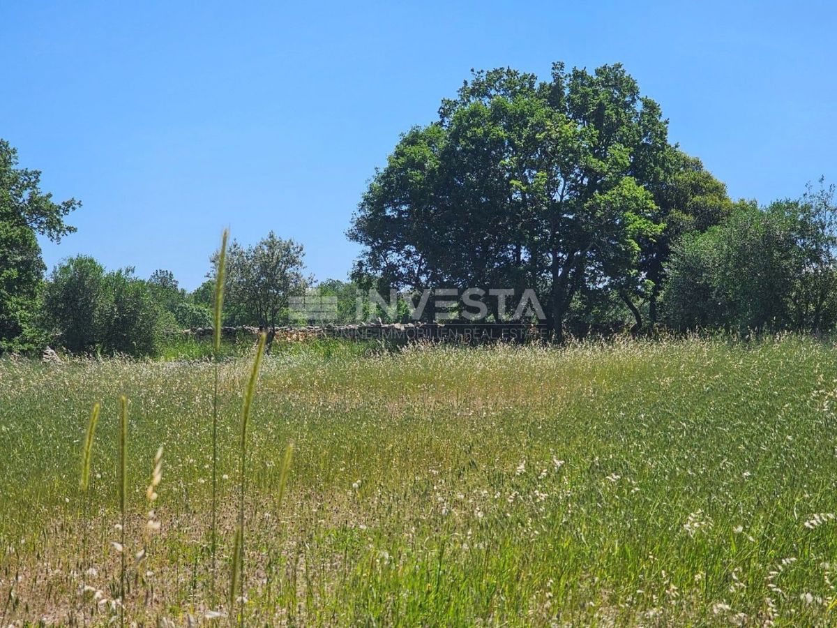 Ampio terreno edificabile recintato nelle vicinanze di Dignano