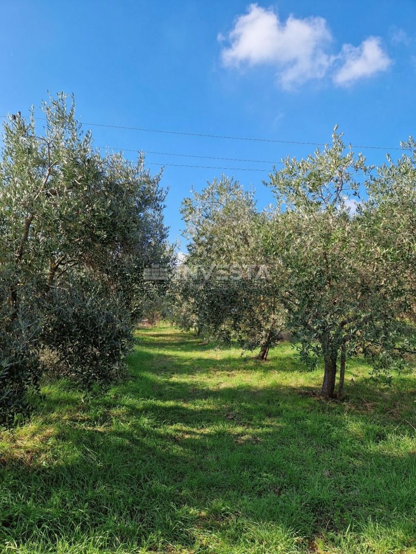 Pola, casa unifamiliare con 4 appartamenti e un ampio giardino