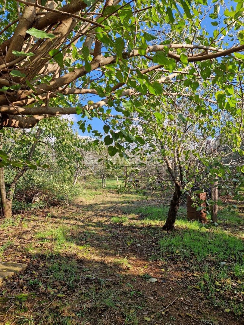 Pola, casa unifamiliare con 4 appartamenti e un ampio giardino