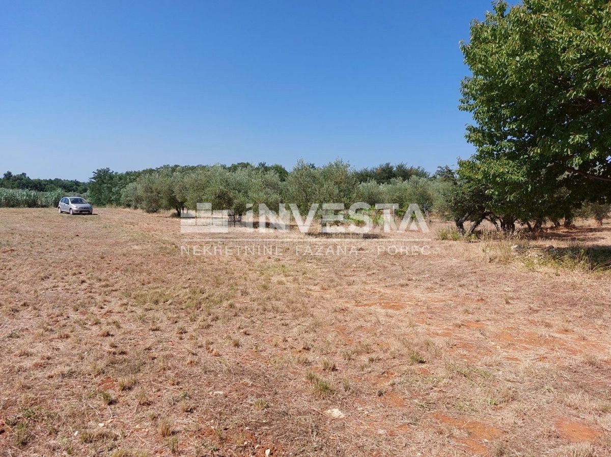 Zona di Parenzo, terreno agricolo 4549 m2 - vigneto e pascolo