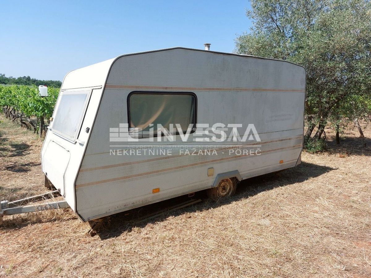 Zona di Parenzo, terreno agricolo 4549 m2 - vigneto e pascolo