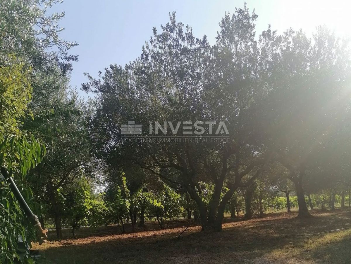 Rovigno, oasi verde di pace vicino al mare