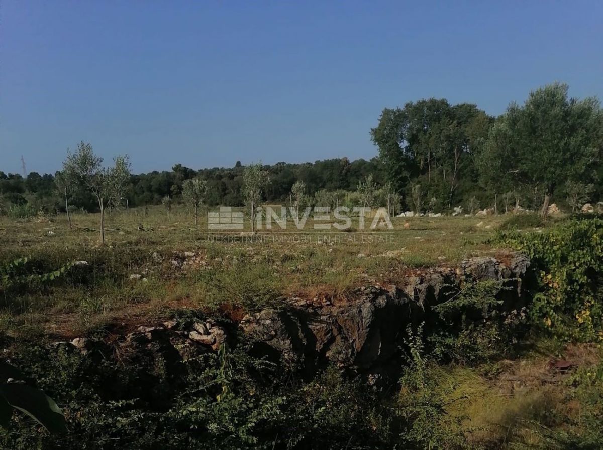 Rovigno, oasi verde di pace vicino al mare