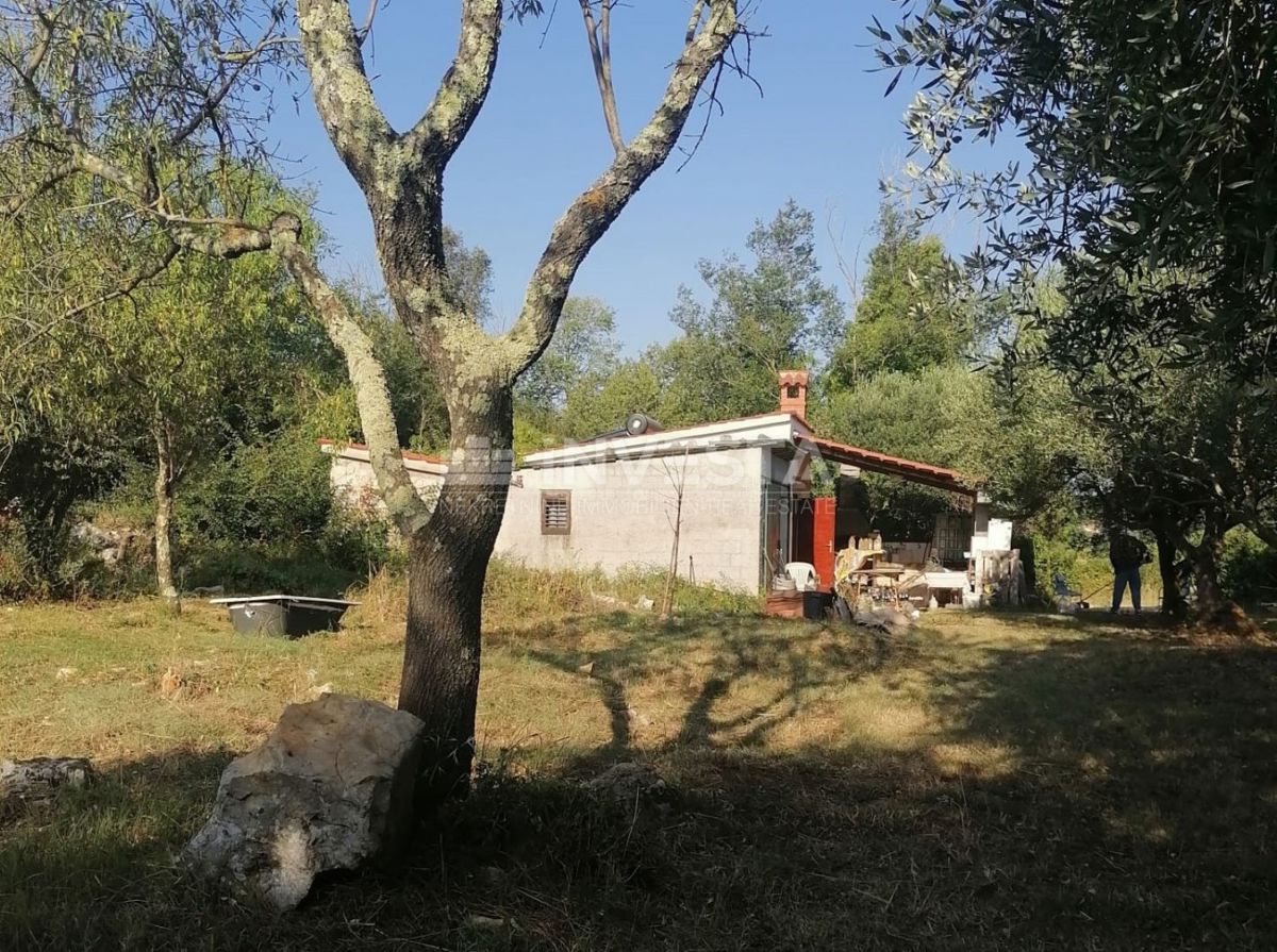 Rovigno, oasi verde di pace vicino al mare