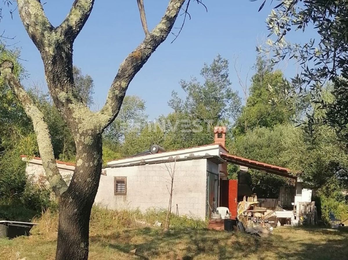 Rovigno, oasi verde di pace vicino al mare