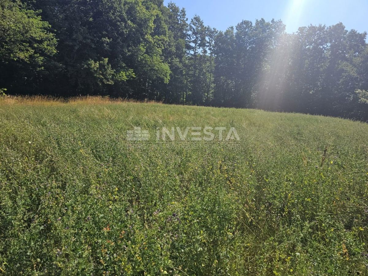 Pisino, terreno misto edificabile/agricolo 36.582 m²
