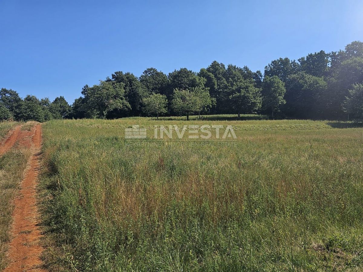 Pisino, terreno misto edificabile/agricolo 36.582 m²