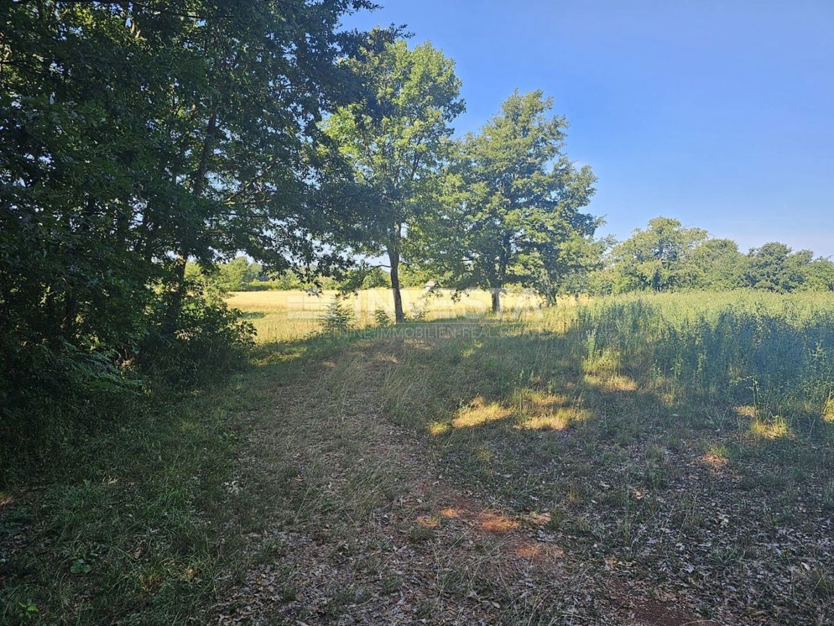 Pisino, terreno misto edificabile/agricolo 36.582 m²