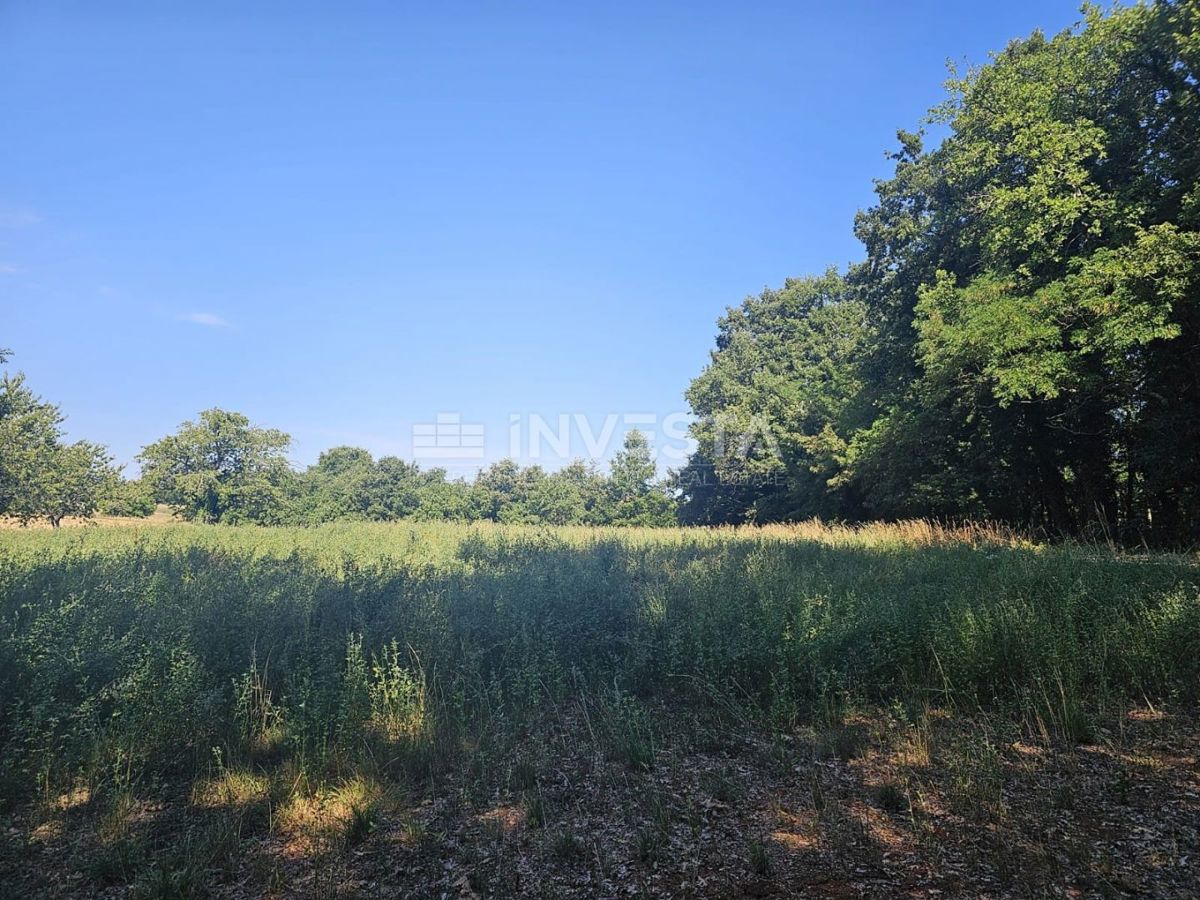 Pisino, terreno misto edificabile/agricolo 36.582 m²