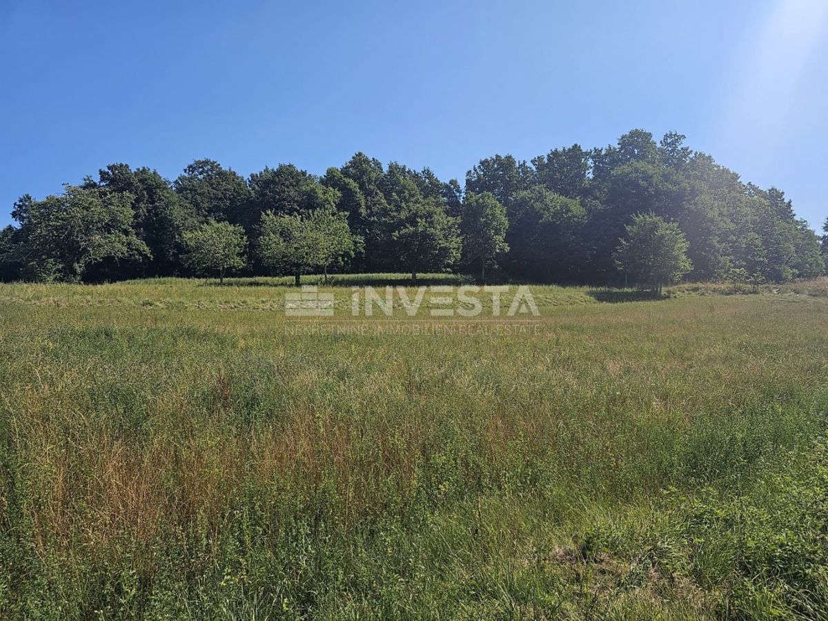 Pisino, terreno misto edificabile/agricolo 36.582 m²
