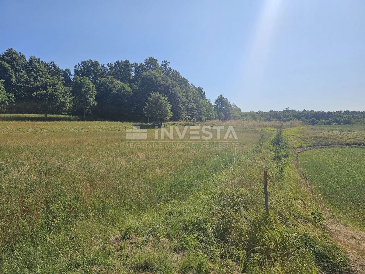 Pisino, terreno misto edificabile/agricolo 36.582 m²