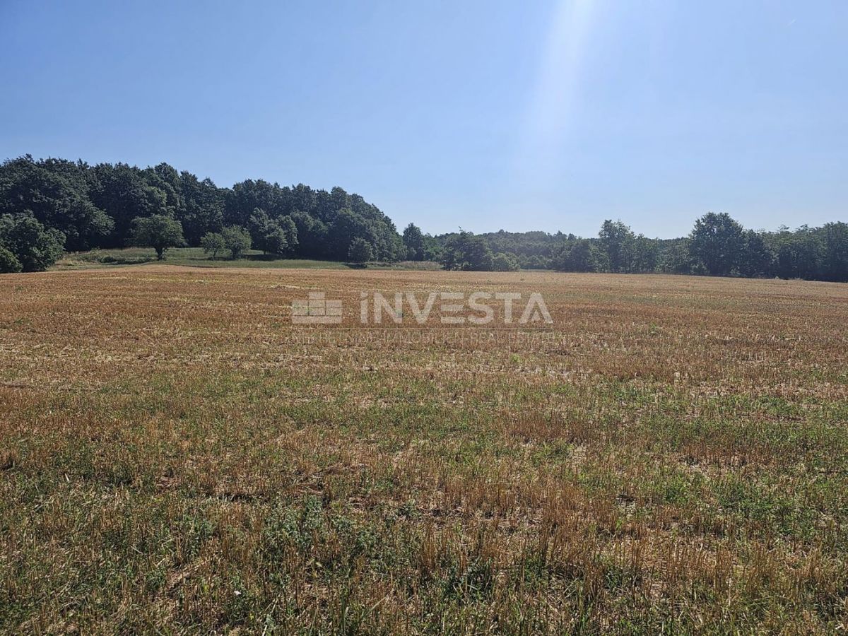 Pisino, terreno misto edificabile/agricolo 36.582 m²