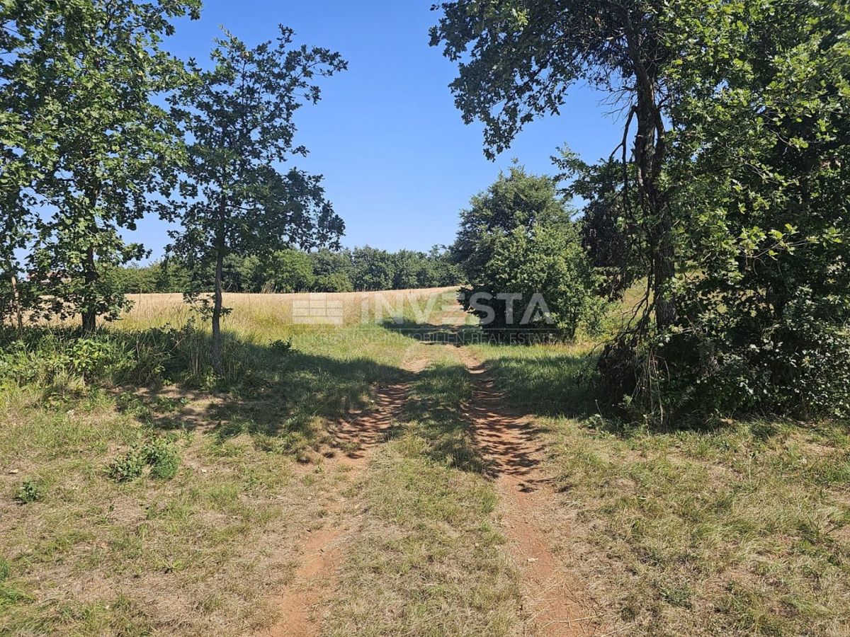 Pisino, terreno misto edificabile/agricolo 36.582 m²