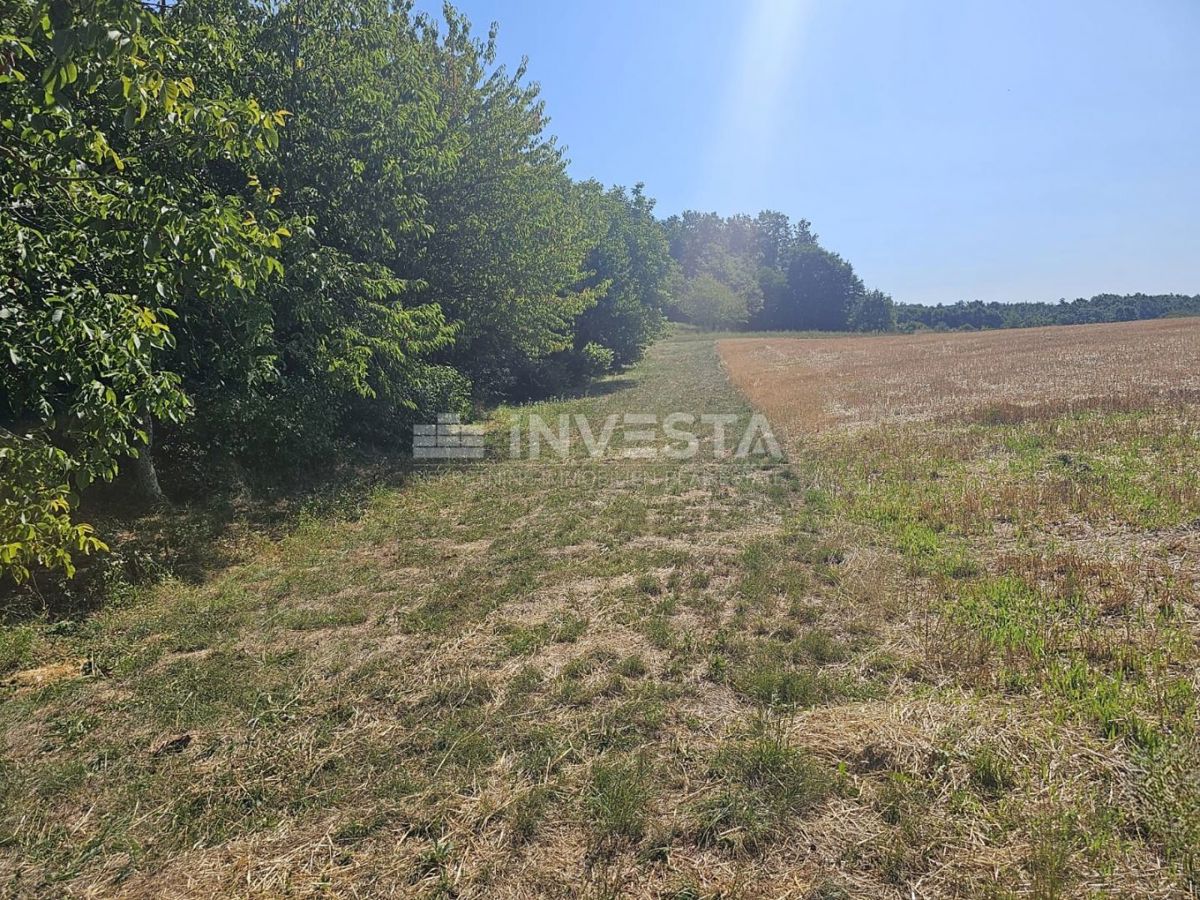 Pisino, terreno misto edificabile/agricolo 36.582 m²