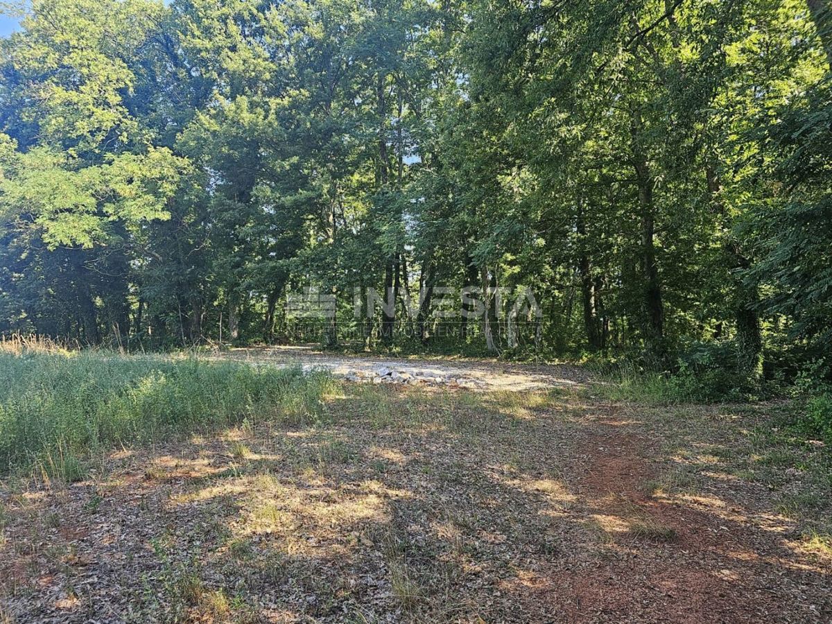 Pisino, terreno misto edificabile/agricolo 36.582 m²