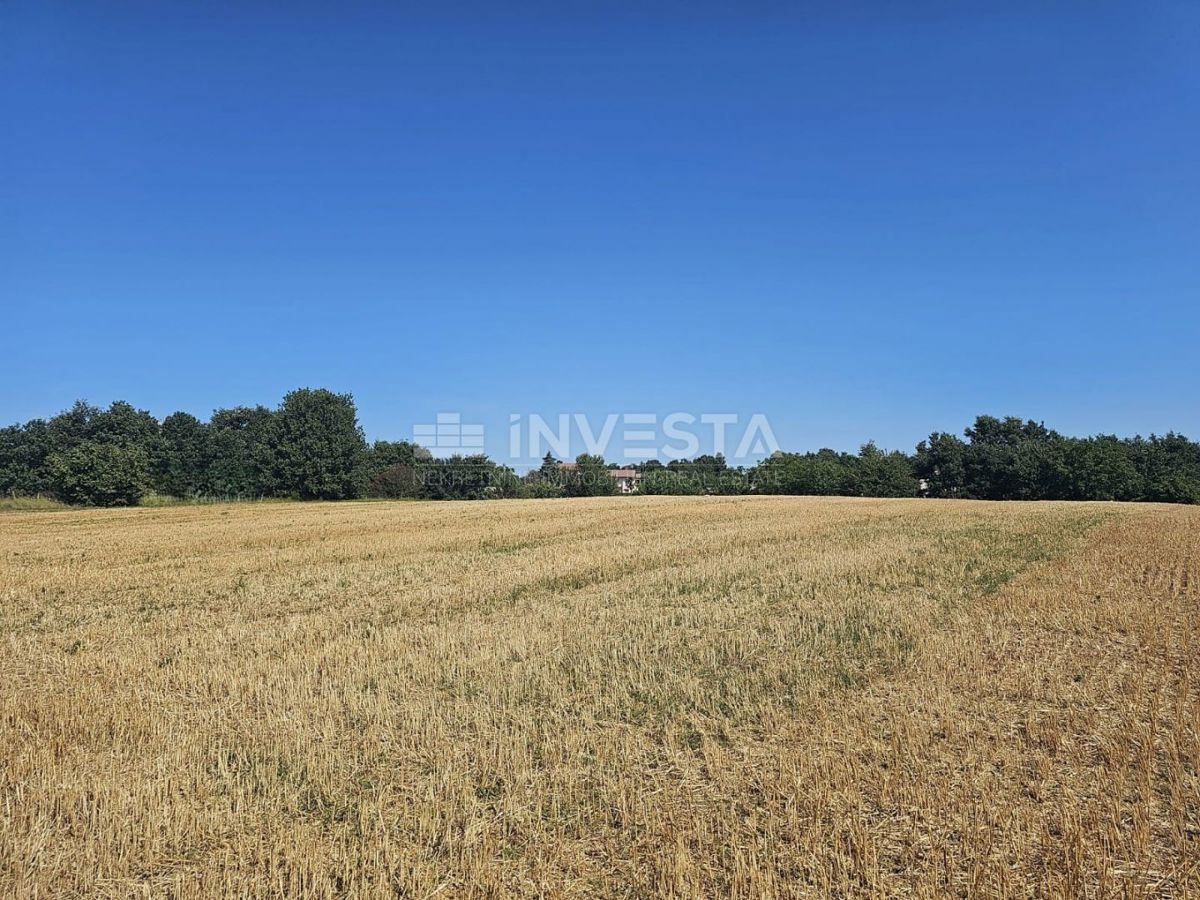 Pisino, terreno misto edificabile/agricolo 36.582 m²