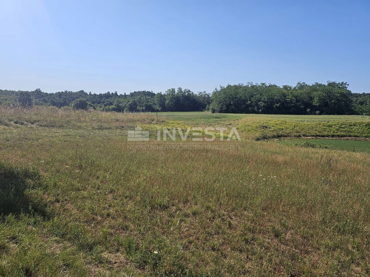 Pisino, terreno misto edificabile/agricolo 36.582 m²