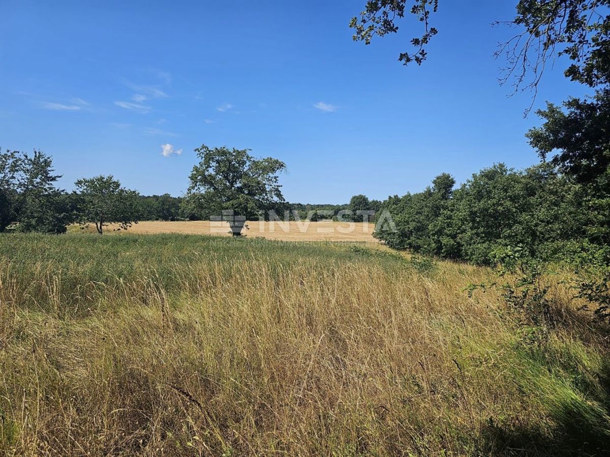 Pisino, terreno misto edificabile/agricolo 36.582 m²