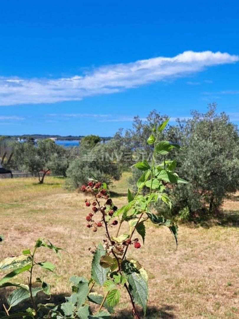 Terreno Fažana, 2.873m2