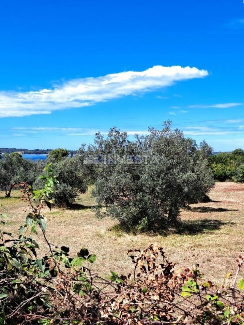 Terreno Fažana, 2.873m2