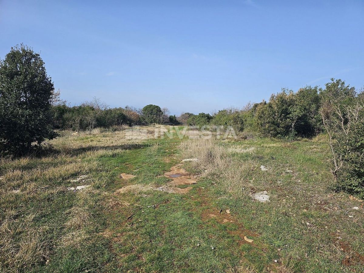 Croazia, Istria, nei pressi di Fažana, terreno di 38.650 m² per la costruzione di un villaggio turistico