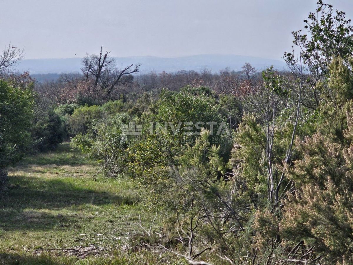 Croazia, Istria, nei pressi di Fažana, terreno di 38.650 m² per la costruzione di un villaggio turistico