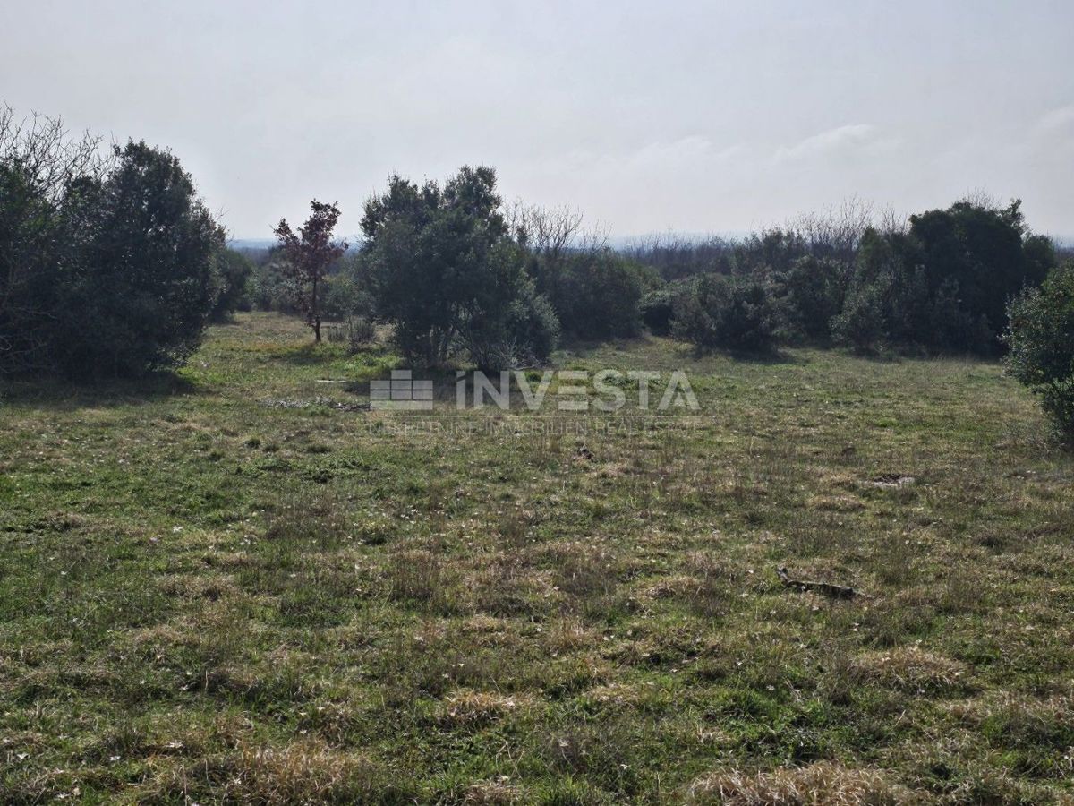 Croazia, Istria, nei pressi di Fažana, terreno di 38.650 m² per la costruzione di un villaggio turistico