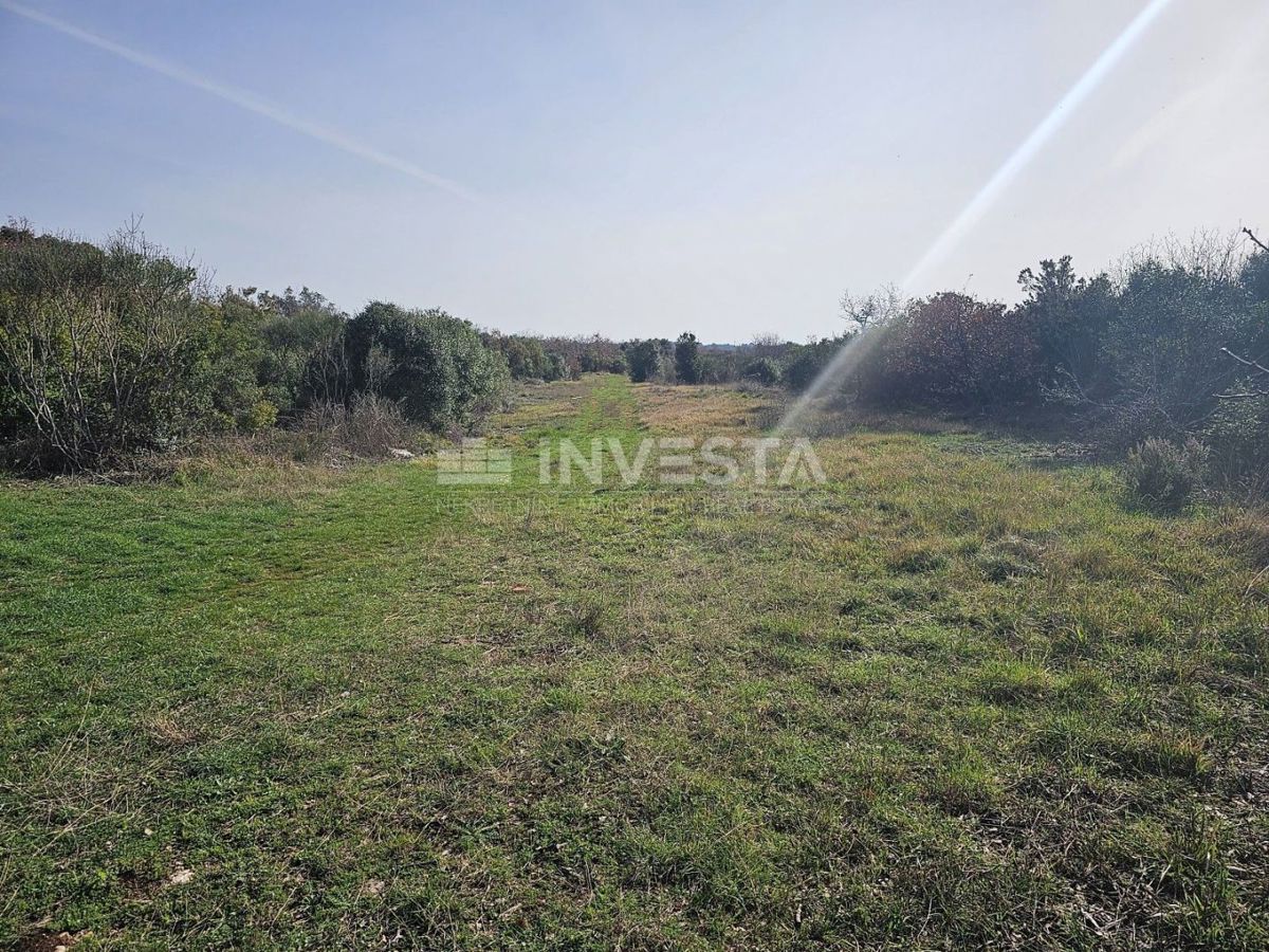 Croazia, Istria, nei pressi di Fažana, terreno di 38.650 m² per la costruzione di un villaggio turistico