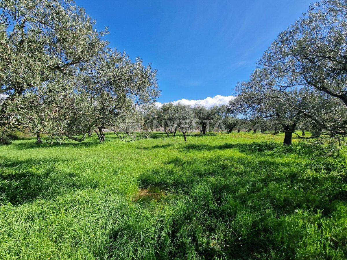 Peroj, terreno edificabile per uso ristorativo e turistico, 5923 m2