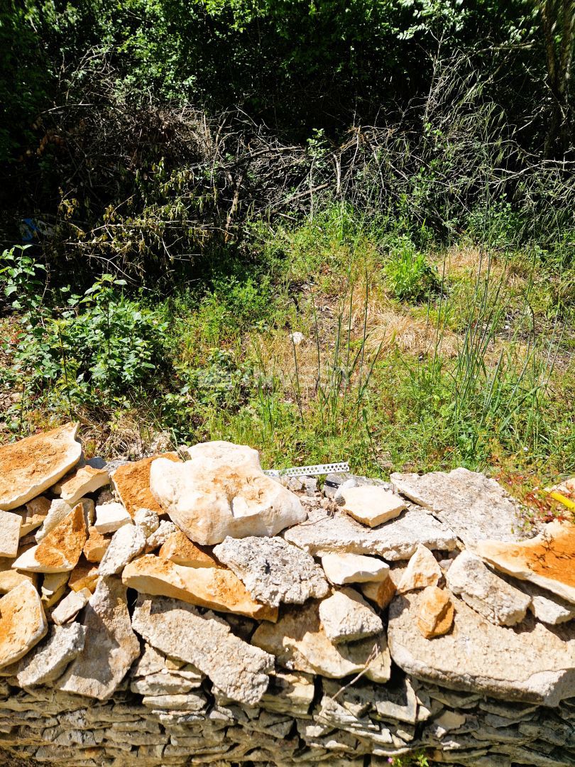 Terreno agricolo – 400m dal mare