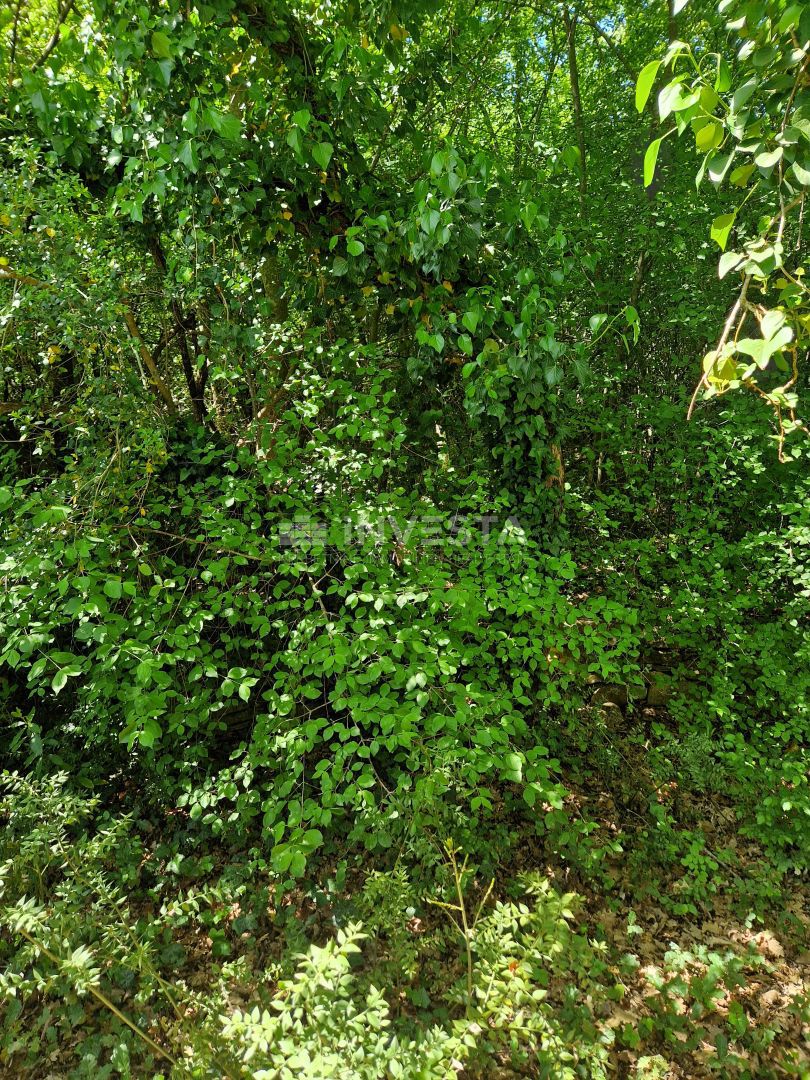 Terreno agricolo – 400m dal mare