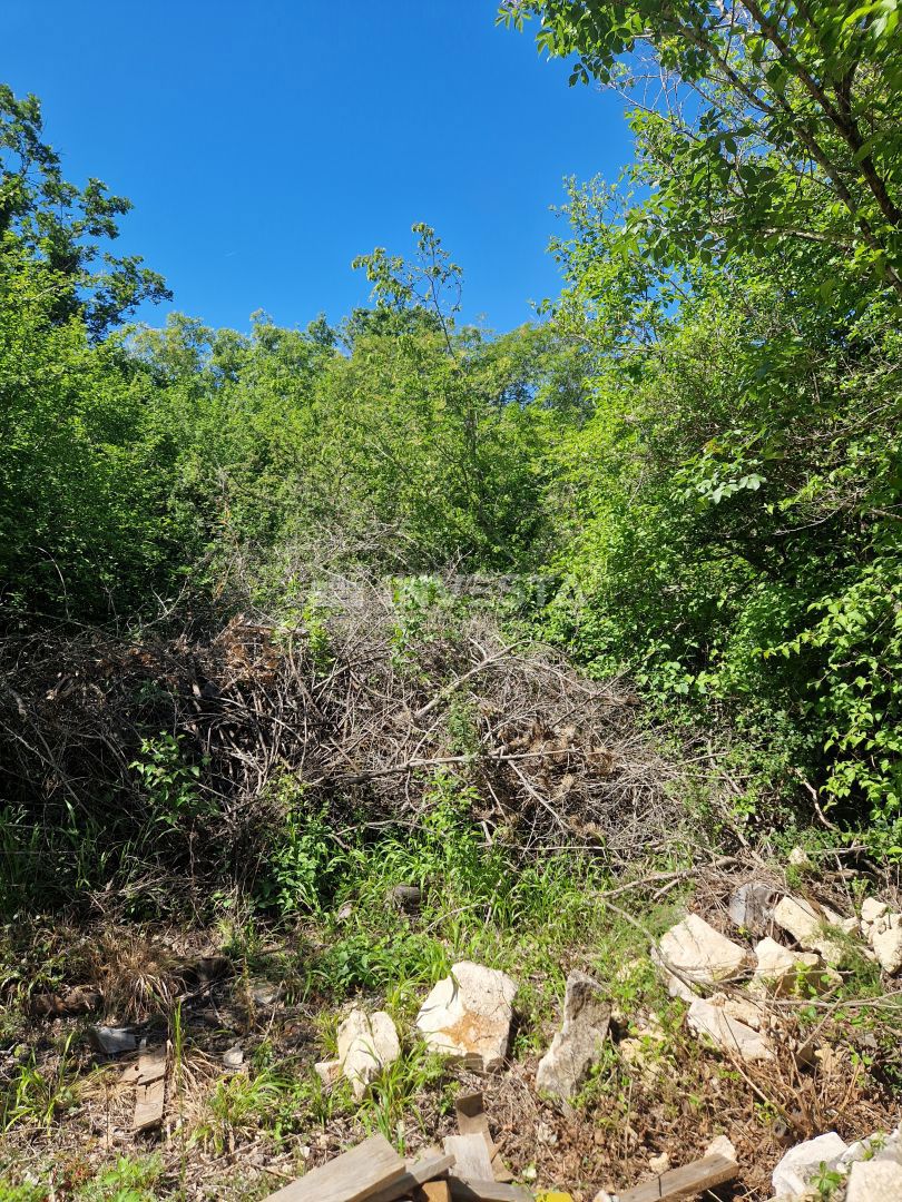 Terreno agricolo – 400m dal mare