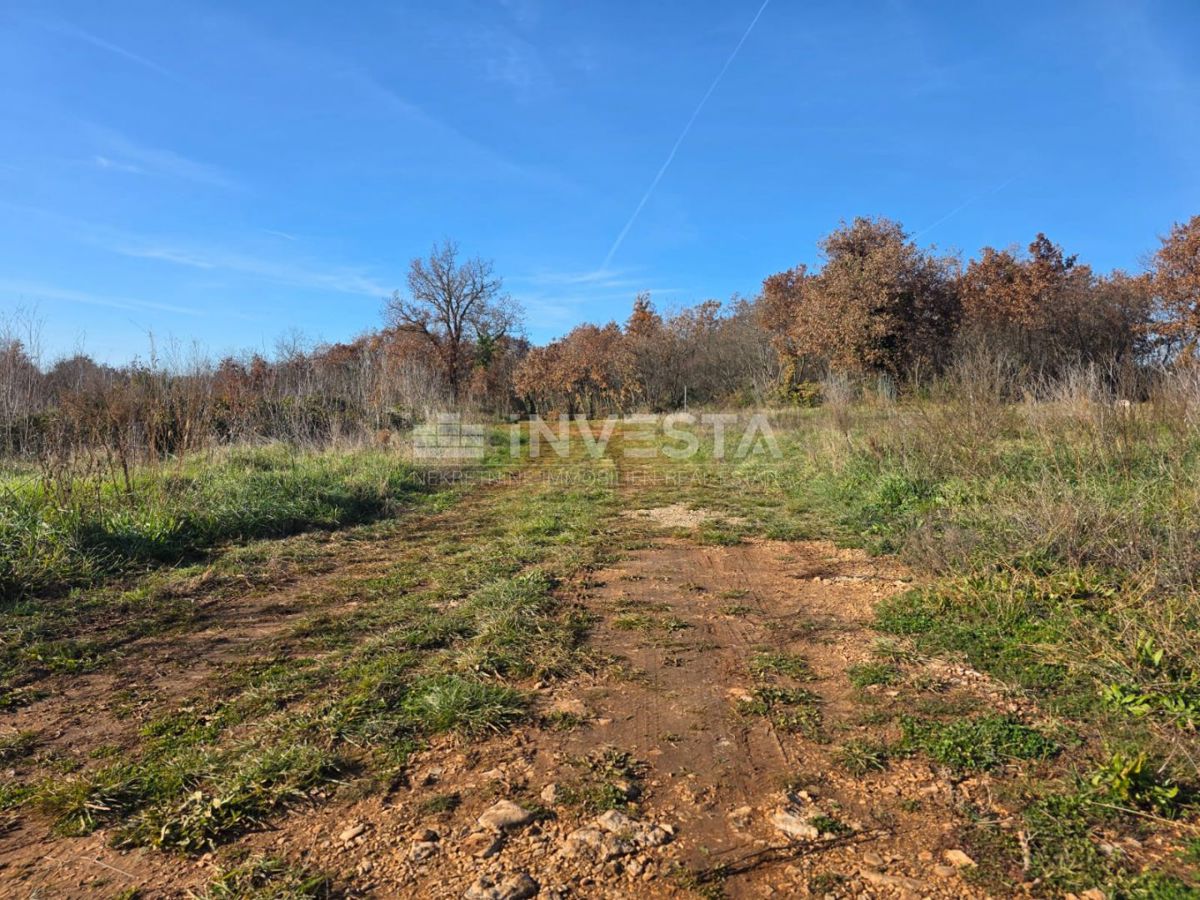 Terreno Vodnjan, 1.009m2