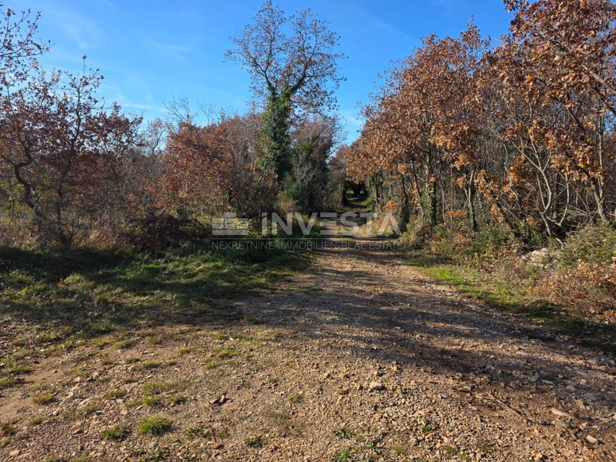 Terreno Vodnjan, 1.009m2