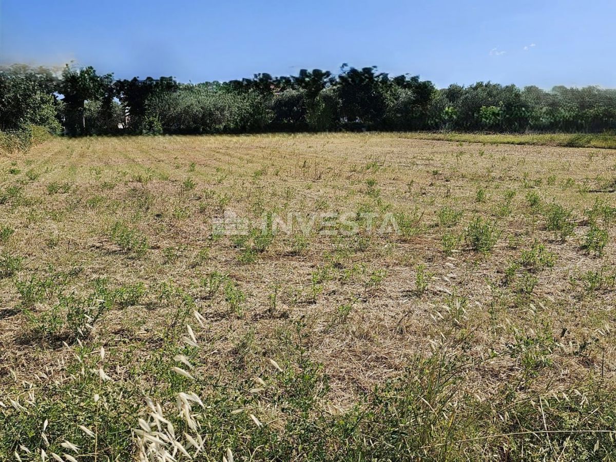 Dignano, terreno edificabile attraente 1056 m²