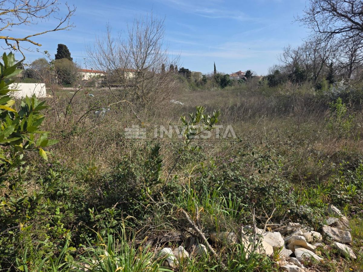 Smogliani, terreno edificabile nel centro dell’abitato