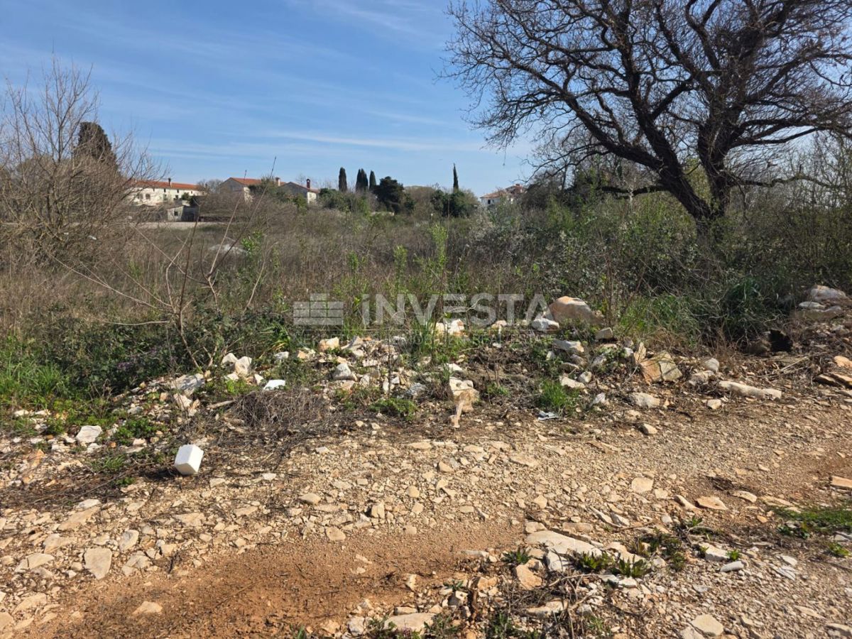 Smogliani, terreno edificabile nel centro dell’abitato