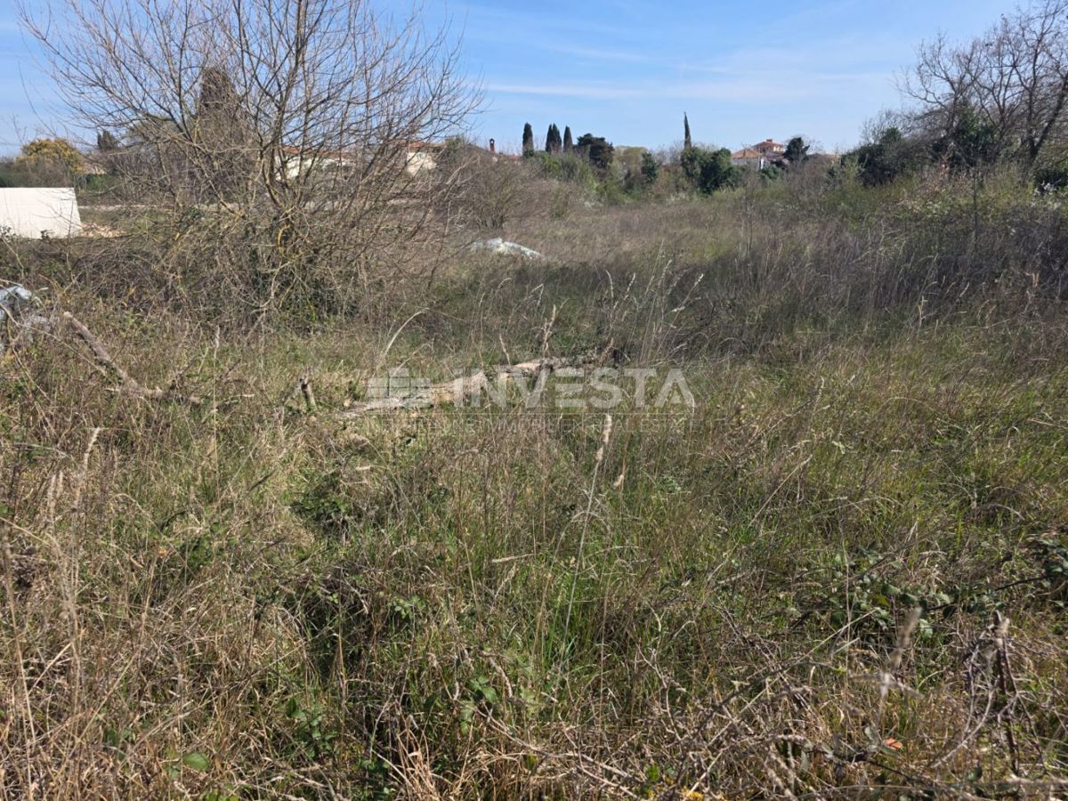 Smogliani, terreno edificabile nel centro dell’abitato