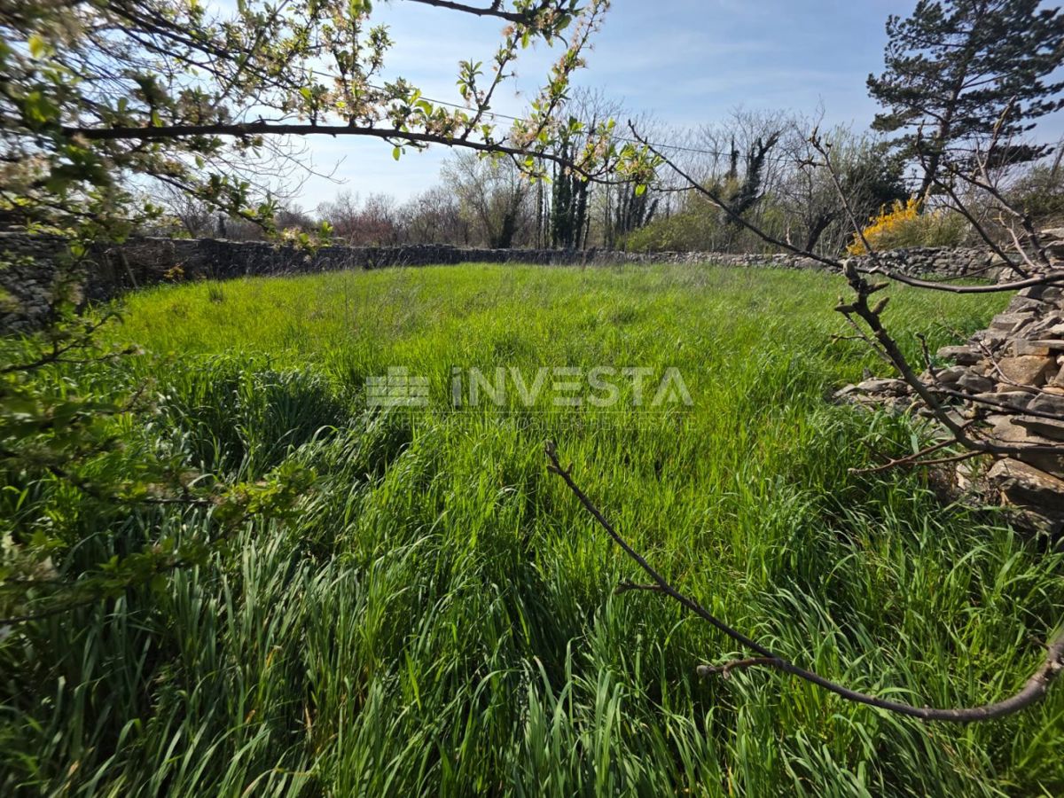 Casa in pietra con ampio terreno nel cuore dell’Istria