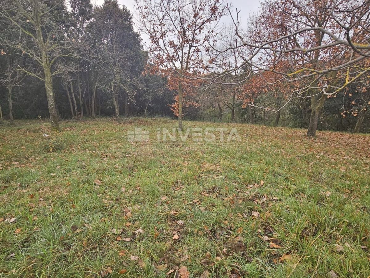Pola, Veli Vrh, terreno edificabile 2907 m²