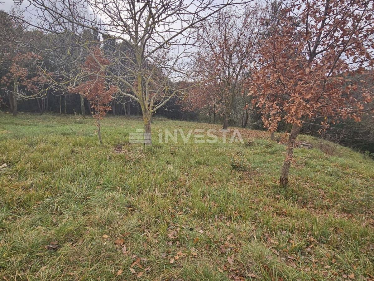 Pola, Veli Vrh, terreno edificabile 2907 m²